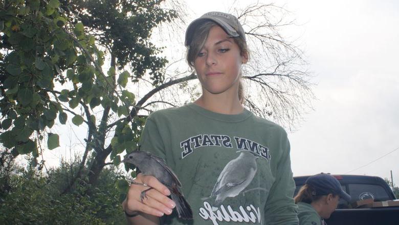 Wildlife Technology Student Chelsea Beck assisted with the bird banding study.
